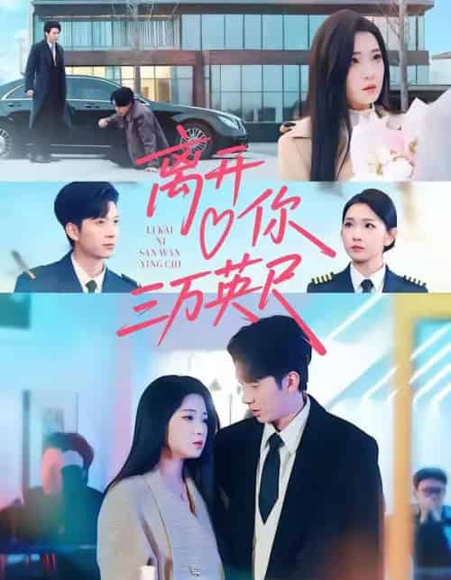 离开你三万英尺（83集全）张文璐＆宗彬-搜外项目网