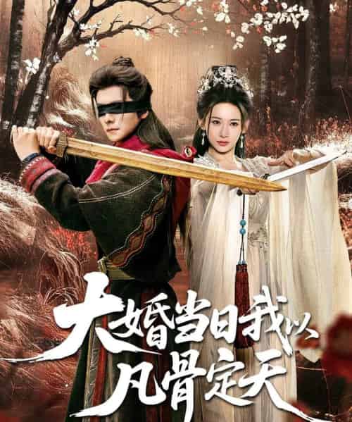 大婚当日我以凡骨定天（74集全）王振＆张思琦-搜外项目网