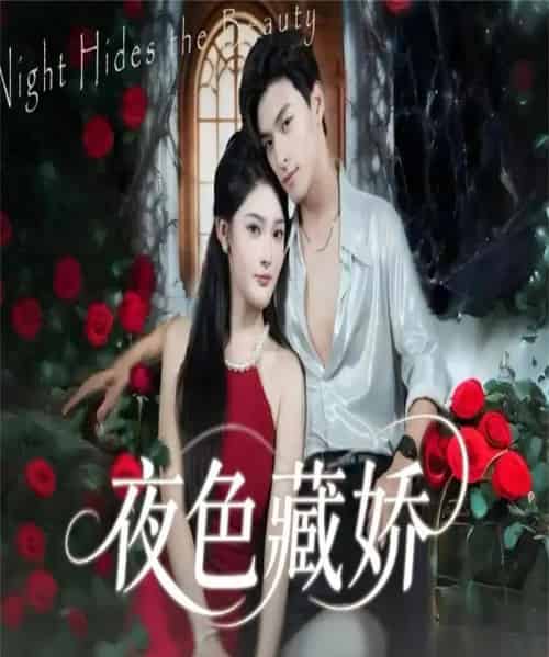 夜色藏娇(65集全)范瑞恒&王知煜-搜外项目网