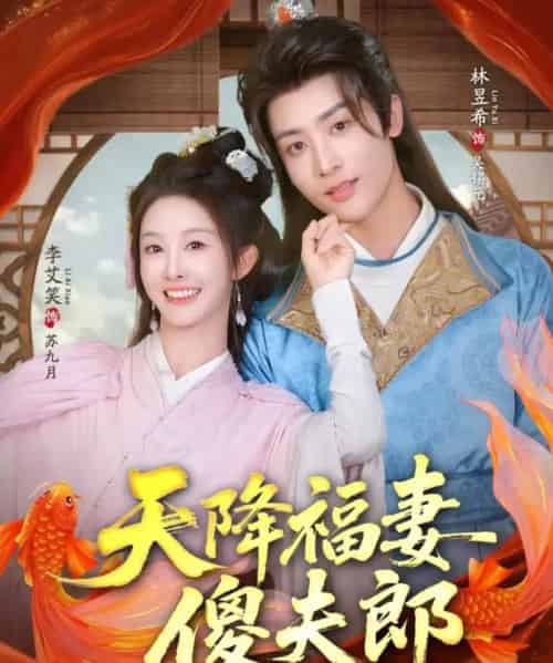 天降福妻傻夫郎（85集全）林昱希＆李艾笑-搜外项目网