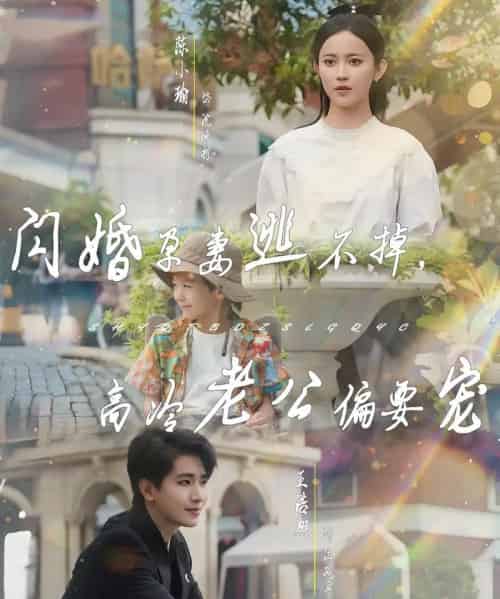 闪婚孕妻逃不掉,高冷老公偏要宠(78集)王浩翔&陈小瑜-搜外项目网