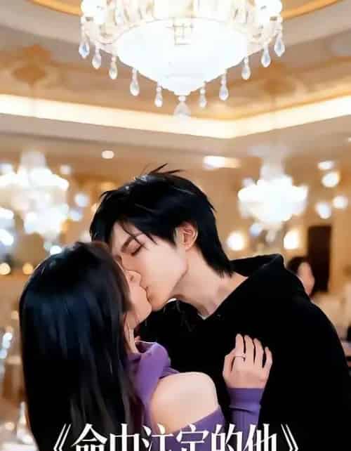 命中注定的他（16集全）AI-搜外项目网