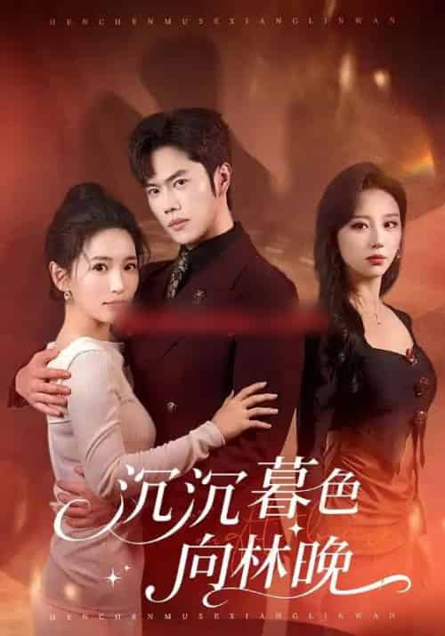 沉沉暮色向林晚（60集全）聂子轩＆李雪莹-搜外项目网