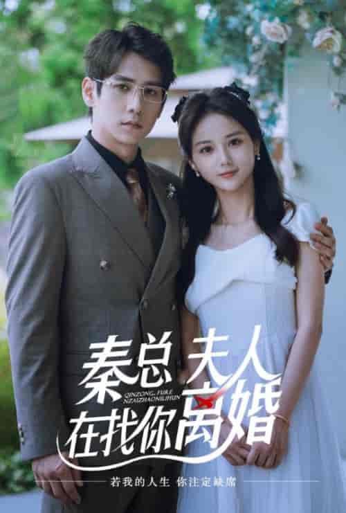 秦总夫人在找你离婚(79集全)秦沐川&马倩倩-搜外项目网