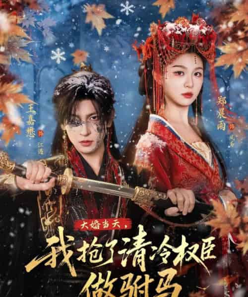 大婚当天，我抢了清冷权臣做驸马（73集全）王嘉懋＆郑晨雨-搜外项目网