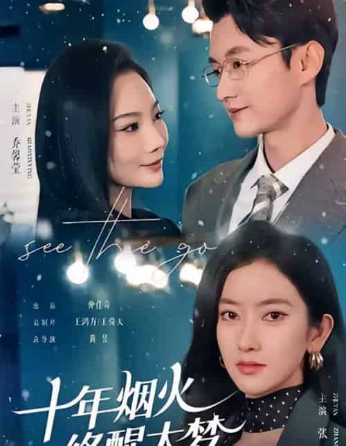 十年烟火，终醒大梦（60集全）珑一＆张张（张玉娇）-搜外项目网