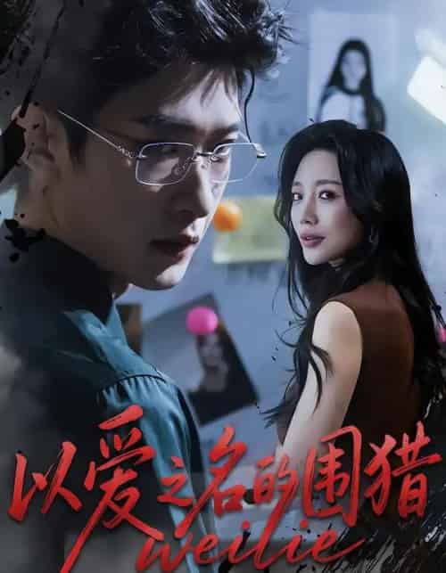 以爱之名的围猎（65集全）吴婷＆孙乾钊-搜外项目网