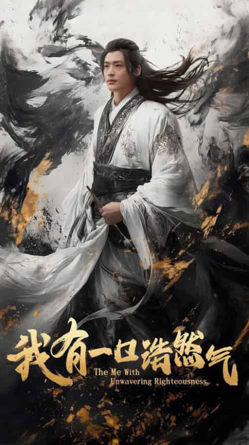 我有一口浩然气（55集全）李旭辉＆鲁芳岐-搜外项目网