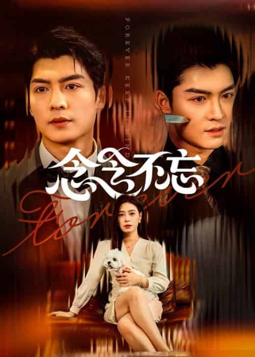 念念不忘(73集全)方正男&韩琪-搜外项目网