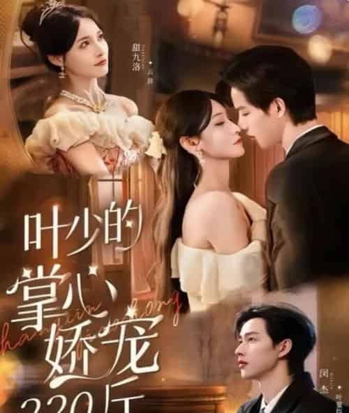 叶少的掌心娇宠220斤（69集全）闵杰＆甜九洛-搜外项目网