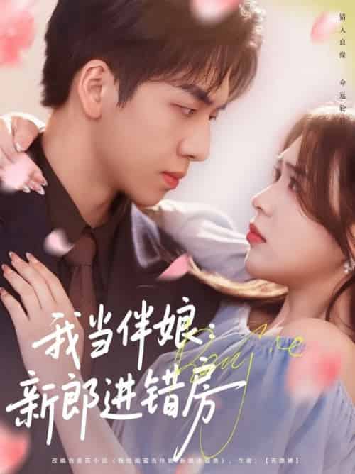 我当伴娘新郎进错房(94集全)葛兆恩&刘彦廷-搜外项目网