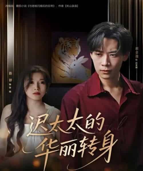 迟太太的华丽转身（80集全）胡金池＆路婷-搜外项目网