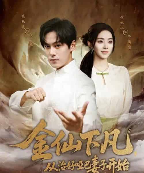 金仙下凡,从治好哑巴妻子开始(58集全)李冰冰&朱致灵-搜外项目网