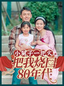 小舅子一把火把我烧回80年代（100集全）-搜外项目网