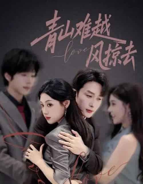 青山难越风掠去（58集）叶庭＆刘倩彤-搜外项目网