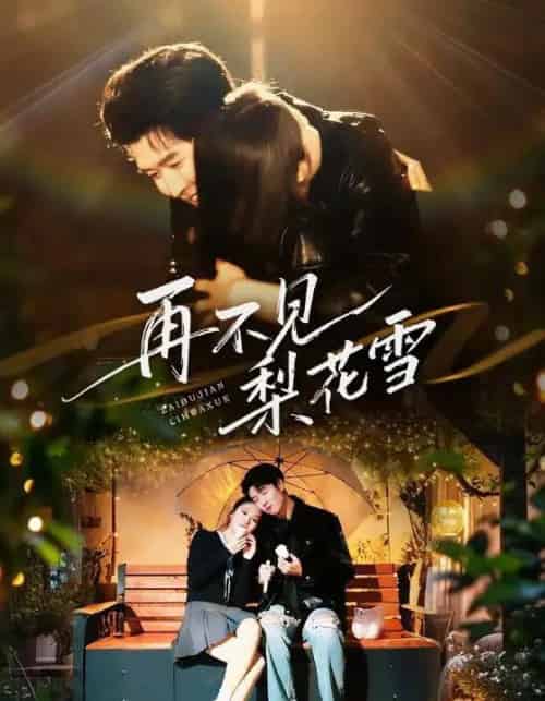 再不见梨花雪＆问夏碎梦（70集全）王裕博＆陈酉昔-搜外项目网