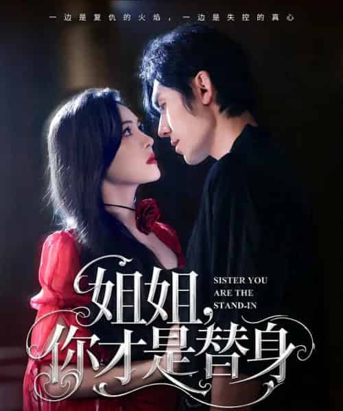 姐姐你才是替身（80集）刘旭＆杨倩倩-搜外项目网