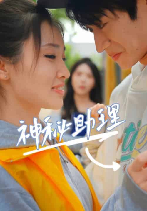 神秘助理（80集全）李子园-搜外项目网