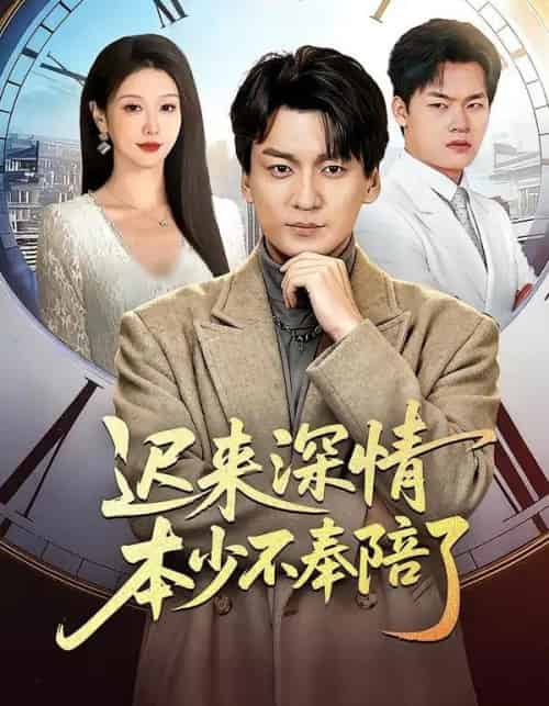 迟来深情本少不奉陪了（60集全）张沫蕾＆何祯-搜外项目网