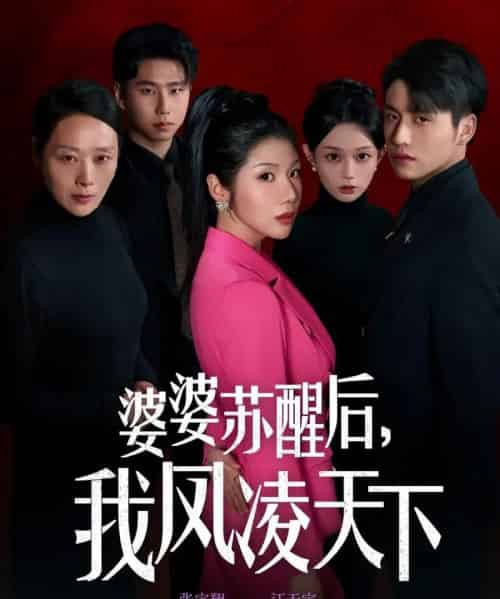 婆婆苏醒后，我凤凌天下（60集全）张宇翔＆汪天予-搜外项目网