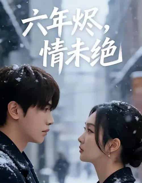 六年烬，情未绝（79集全）王俊哲＆陶思沂-搜外项目网
