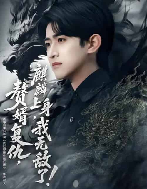 赘婿复仇，麒麟上身，我无敌了＆赘婿复仇麒麟上身我无敌了（61集全）余戬＆赵亦菲-搜外项目网