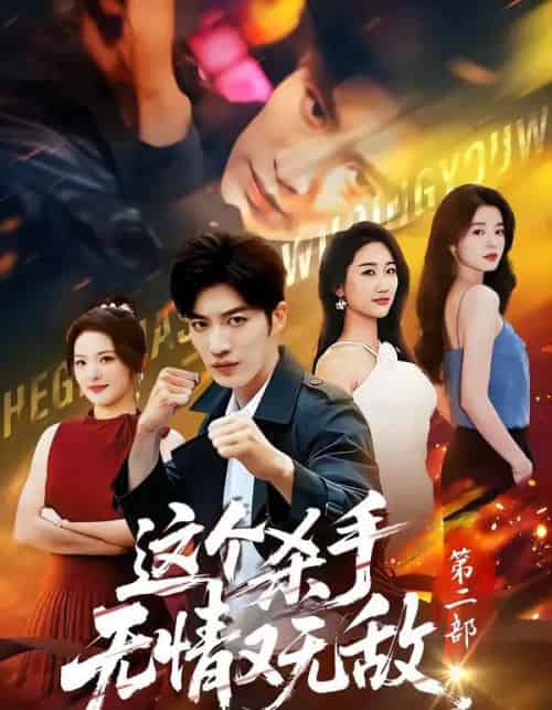 这个杀手无情又无敌第二部（80集全）王名扬＆常珂欣-搜外项目网