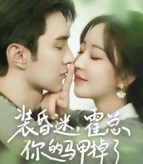 装昏迷,霍总你的马甲掉了(80集全)希尔力&彭丹丹-搜外项目网