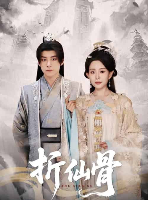 折仙骨（50集）李智颖＆李俊良-搜外项目网