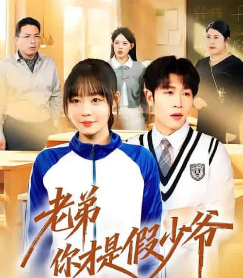 老弟你才是假少爷（75集全）孙蔚琳＆王裕博-搜外项目网