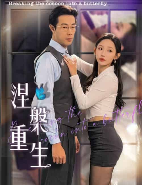 涅槃重生（40集全）-搜外项目网