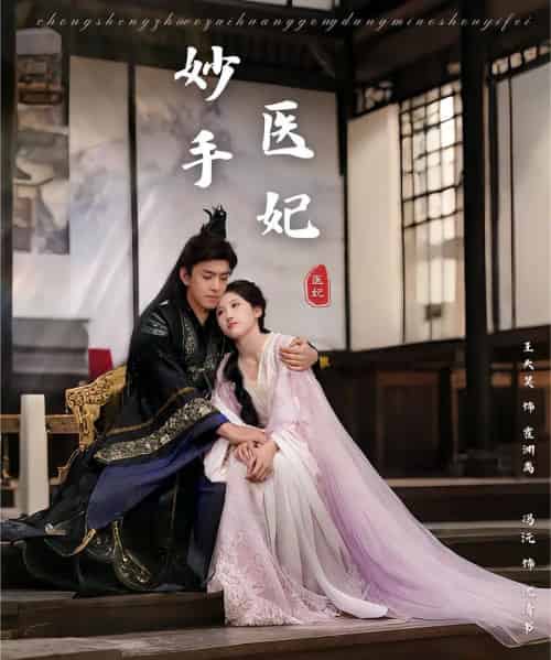 妙手医妃（78集）冯沅＆王天昊-搜外项目网
