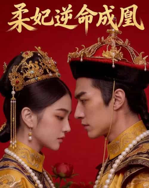 柔妃逆命成凰（50集全）AI-搜外项目网