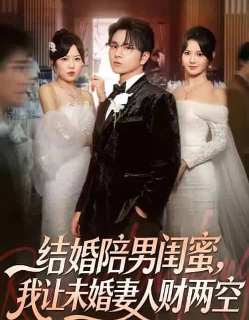 结婚陪男闺蜜,我让未婚妻人财两空(60集全)张易嵘&丁紫嫣-搜外项目网