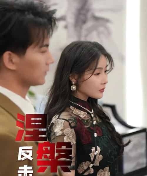 涅槃反击(35集)郭岩松&孙浦瑄-搜外项目网