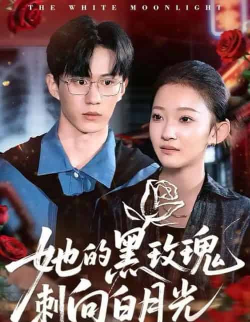 她的黑玫瑰刺向白月光（83集全）贝贝＆郭澈-搜外项目网