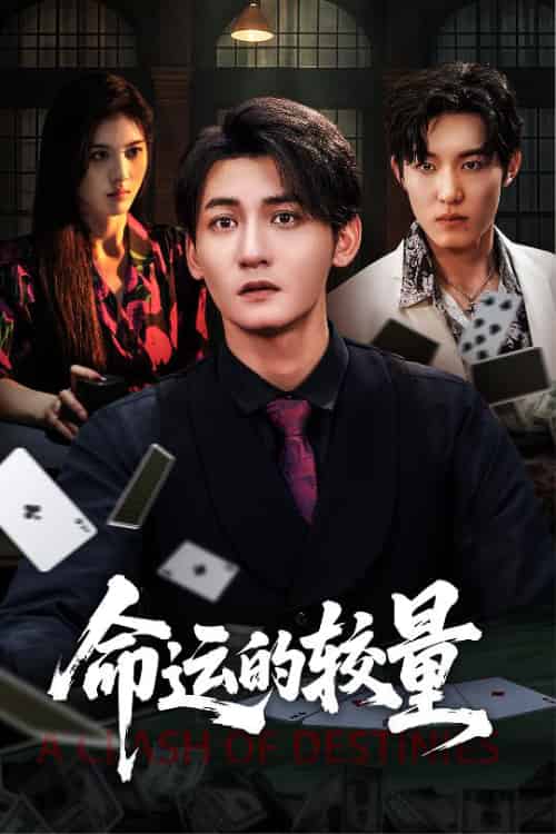命运的较量（60集全）王子岳＆朱梦茹-搜外项目网