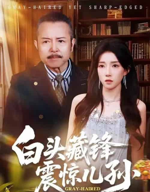 白头藏锋震惊儿孙（65集全）孟岳＆李百万-搜外项目网
