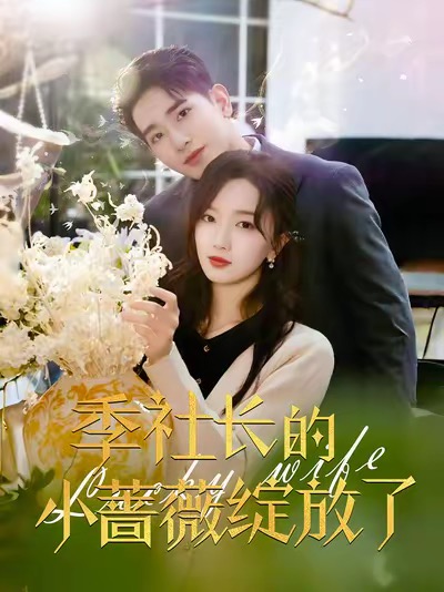 季社长的小蔷薇绽放了(60集全)王浩翔&郭知爻-搜外项目网