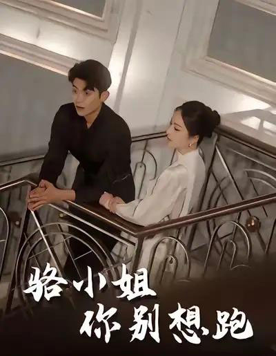 骆小姐你别想跑（30集全）隋佳＆纪昱良＆夏玄子-搜外项目网