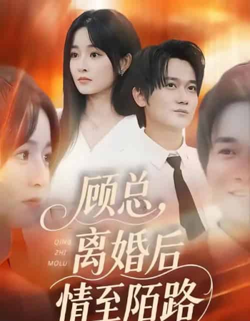 顾总，离婚后情至陌路（62集全）吴鑫＆顾嘉川＆张天维-搜外项目网