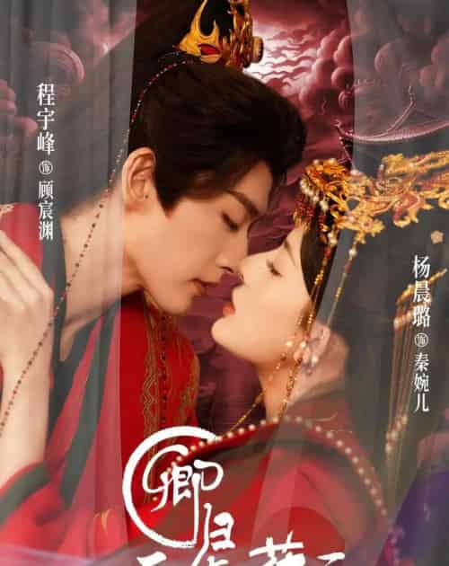 卿归正值榕花开（70集全）程宇峰＆杨晨璐-搜外项目网