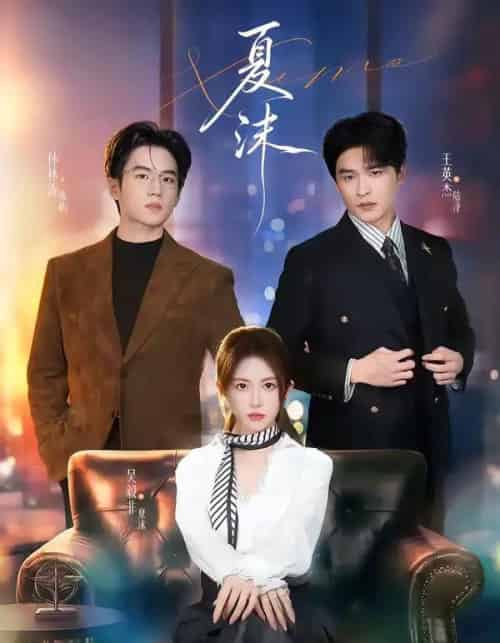 夏沫（65集全）王英杰＆一飞-搜外项目网