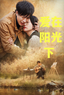 爱在阳光下（30集全）孔奇力-搜外项目网