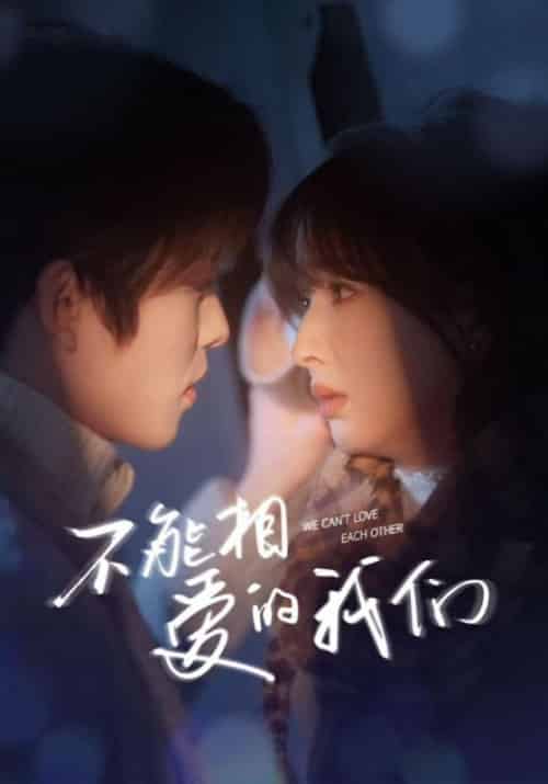 不能相爱的我们（50集全）一航＆初夏＆叶皓然-搜外项目网
