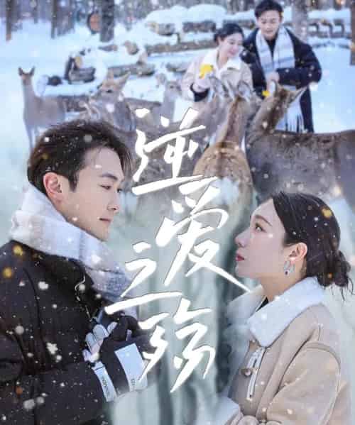 逆爱之殇(60集)吴帆&安安-搜外项目网