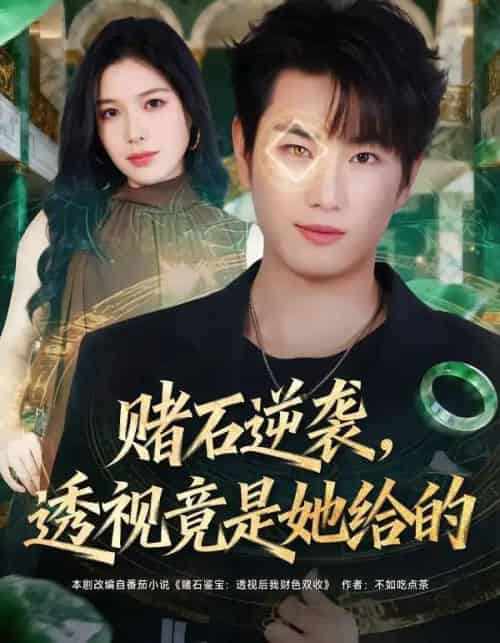 赌石逆袭，透视竟是她给的（77集全）宋骏＆唐一晗-搜外项目网