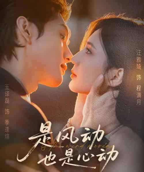 是风动也是心动(60集全)王译磊&汪雅琦-搜外项目网