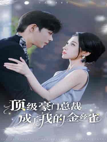 顶级豪门总裁成了我的金丝雀（85集）王格格-搜外项目网