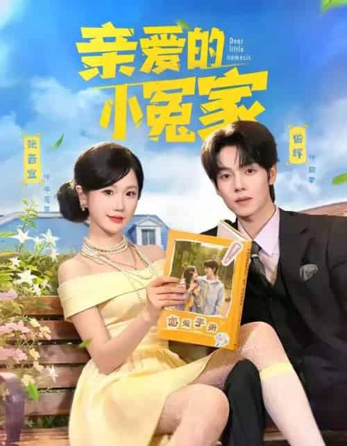 亲爱的小冤家（80集全）曾辉＆张晋宜-搜外项目网